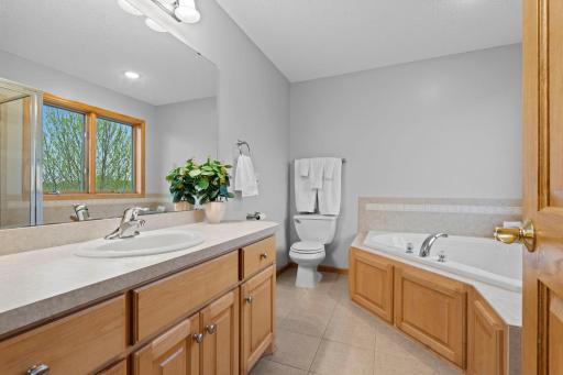 14259 Geneva Avenue N, Hugo, MN 55038