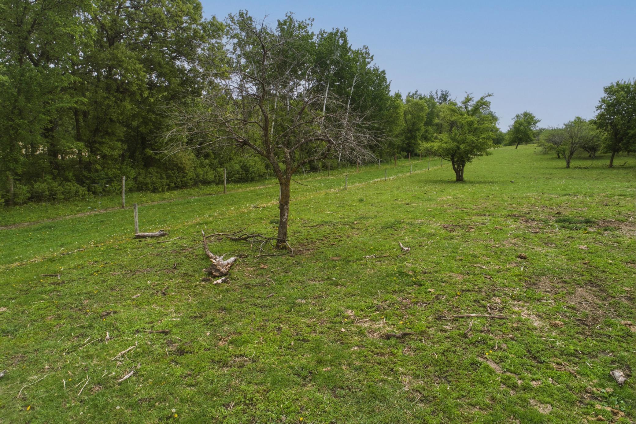 Features livestock lane fencing