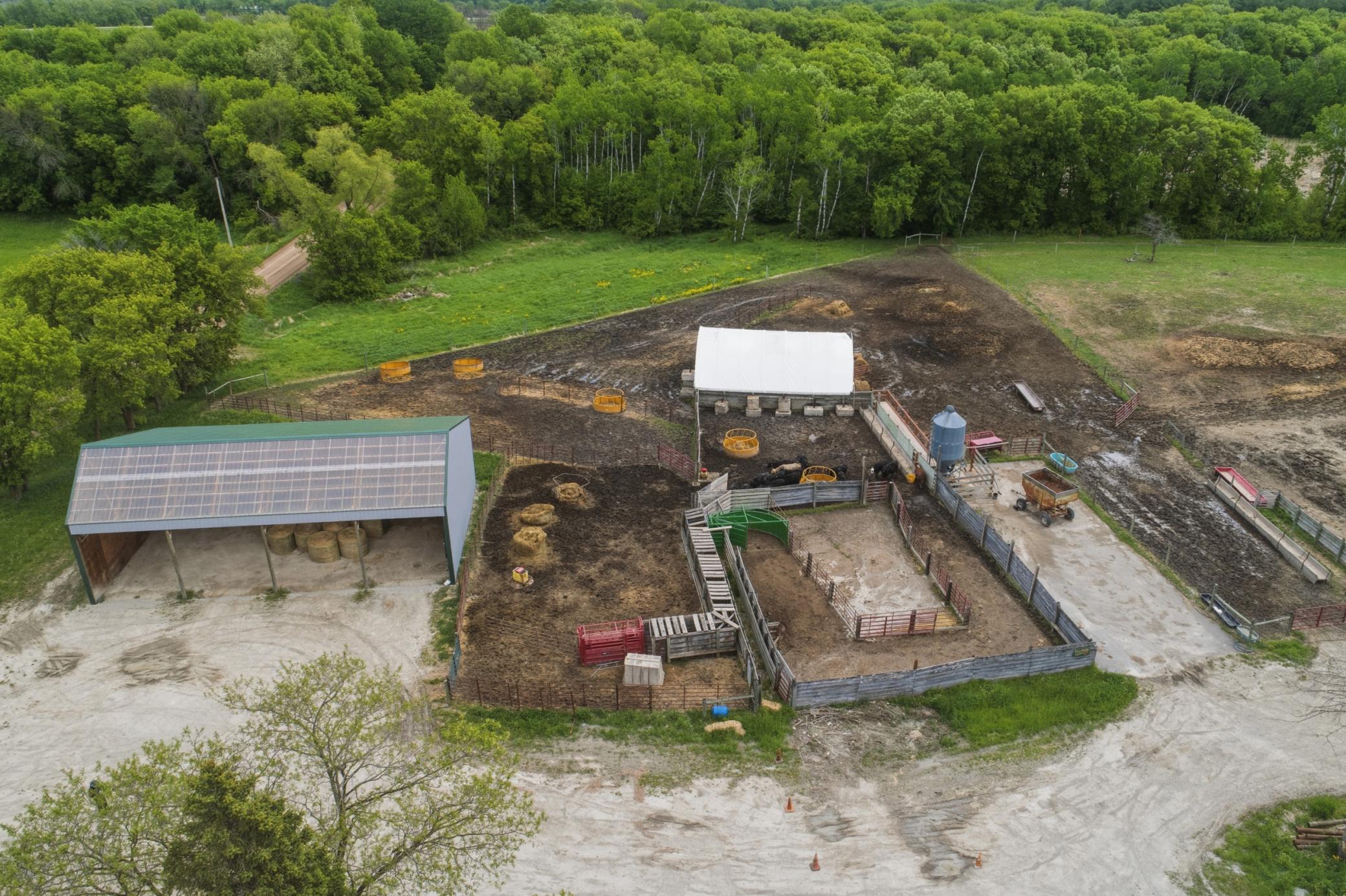 Cattle staging/sorting area and loading chute