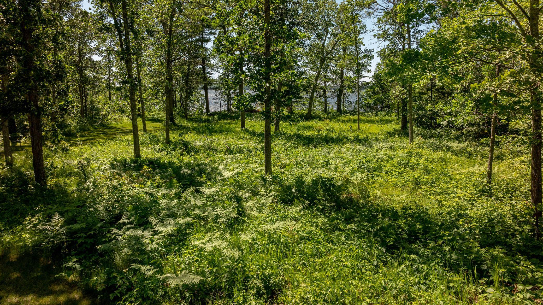 DJI_20250621054045_0037_D.jpg