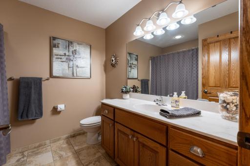 6217 321st Street Way, Cannon Falls, MN 55009