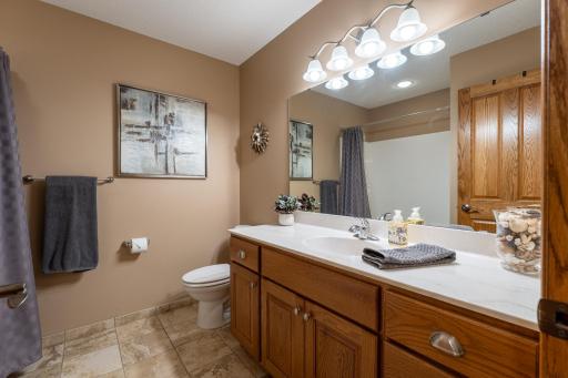 6217 321st Street Way, Cannon Falls, MN 55009