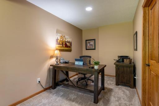 6217 321st Street Way, Cannon Falls, MN 55009