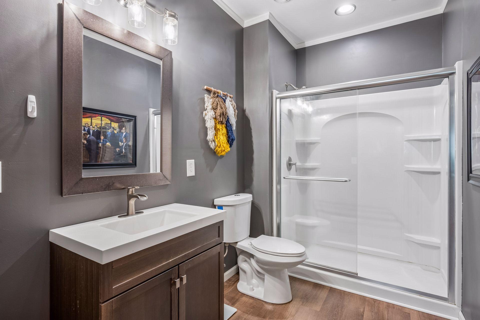 Lower Level Bathroom