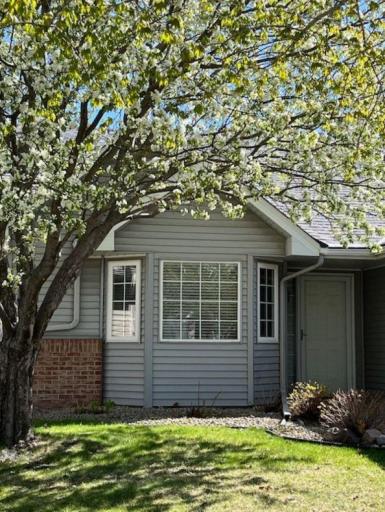 9244 Dunbar Flowering Tree in front yard.jpg