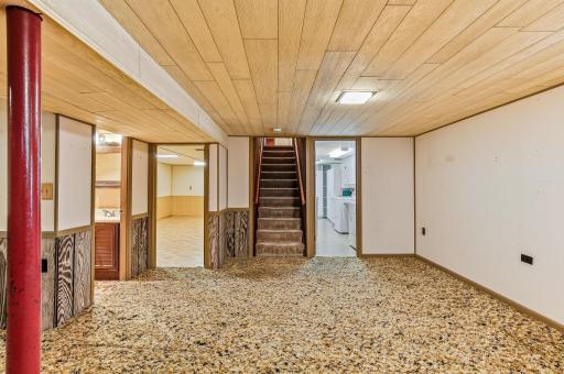 Walkout lower level includes a family room, amusement room, bath, and a cozy wood-burning stove.