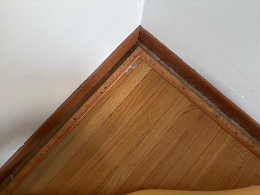 Look at this GORGEOUS hardwood underneath the living room and bedroom carpet!