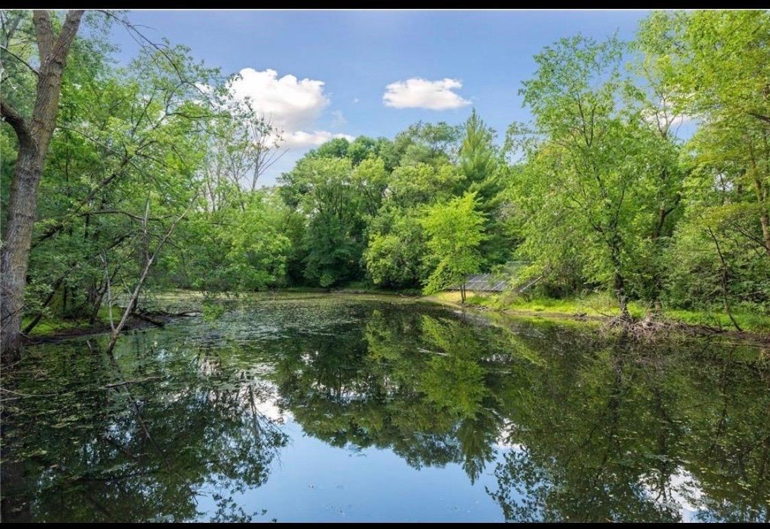 Pond off of the trail