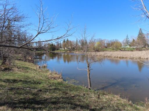 14091 river 1.jpg