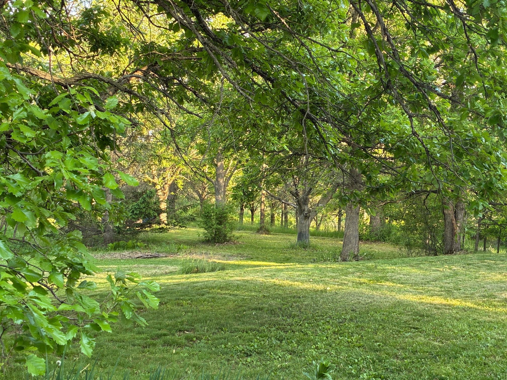 IMG_8359.JPG