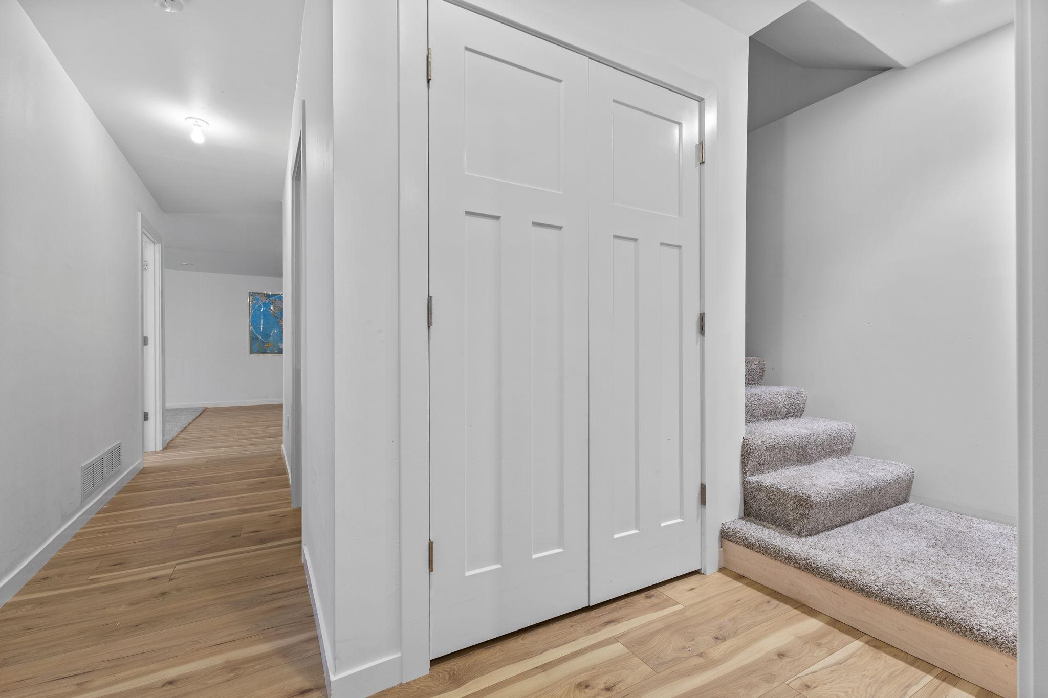 Lower level storage closet