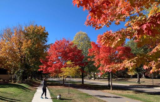 Take a stroll down the Parkway ( fall shot).