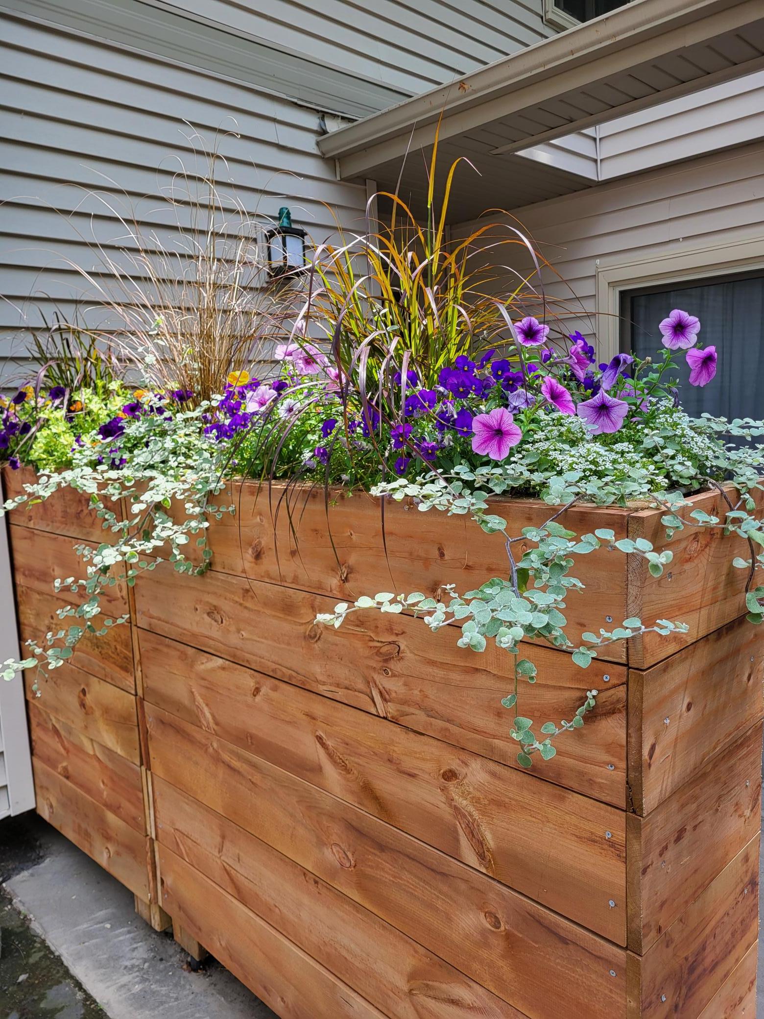 Summer planters.jpg