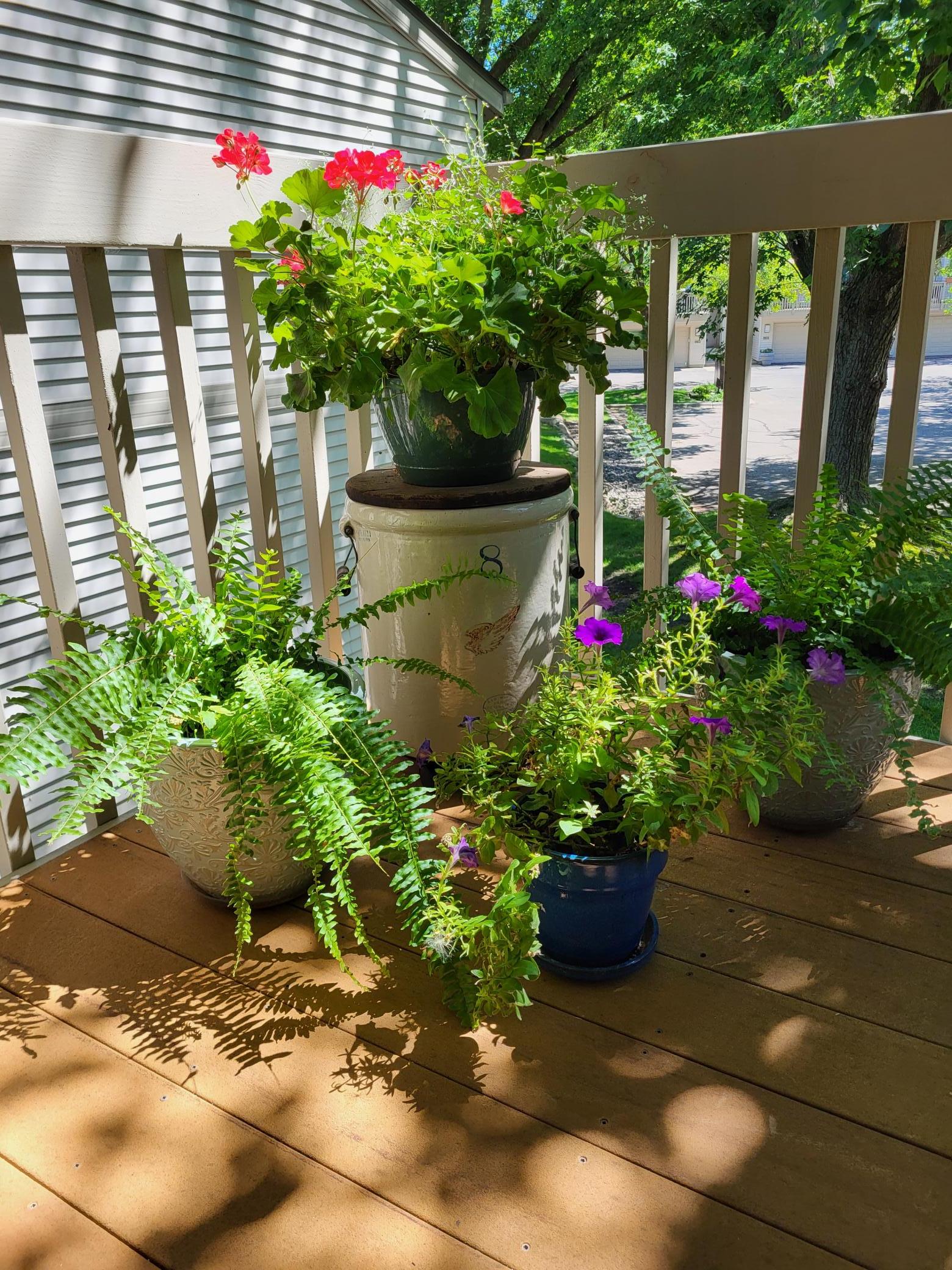 Summer Deck.jpg