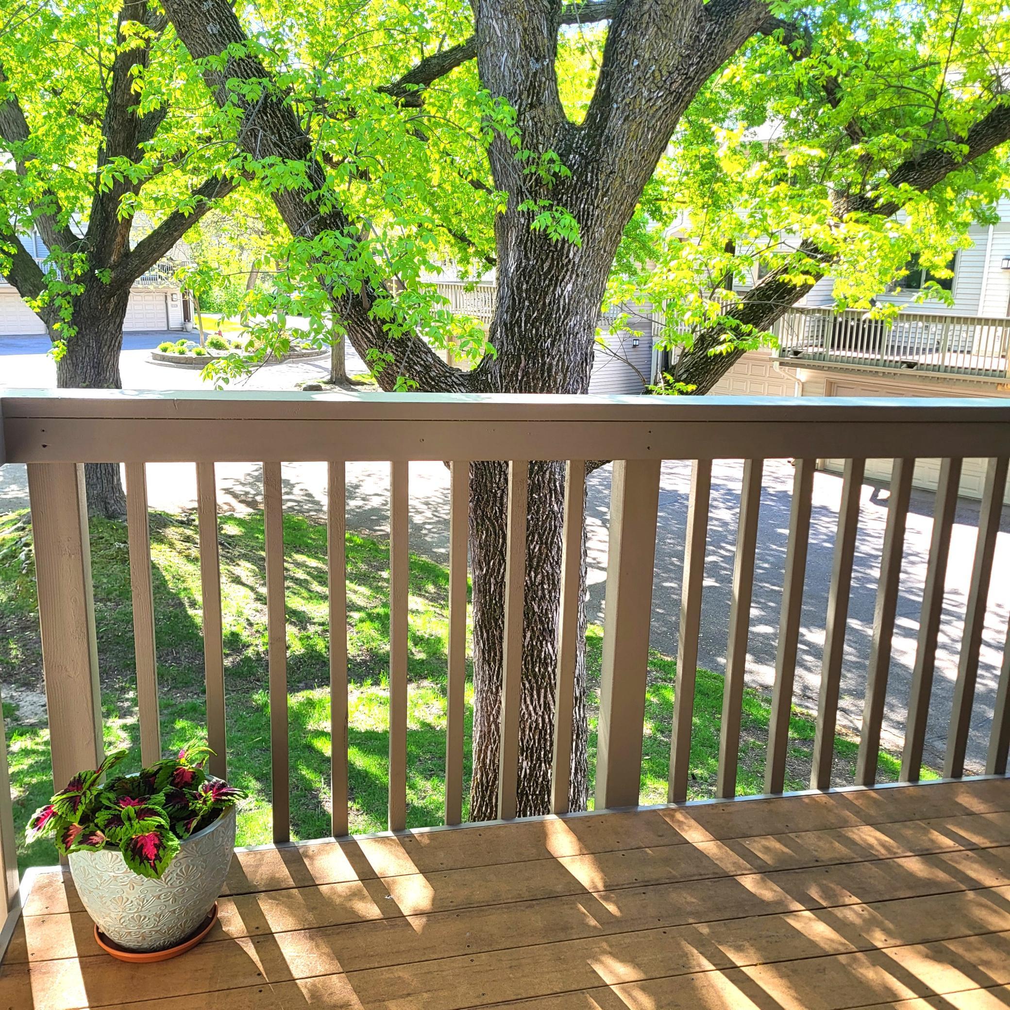 May Back Deck.jpg