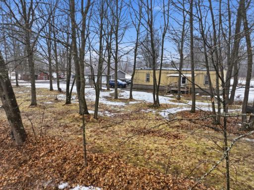 View from the yard looking toward the home, surrounded by mature trees for a peaceful setting
