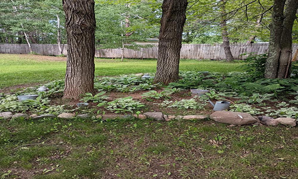 Perennial garden beds tucked beneath mature trees add charm and color throughout the seasons