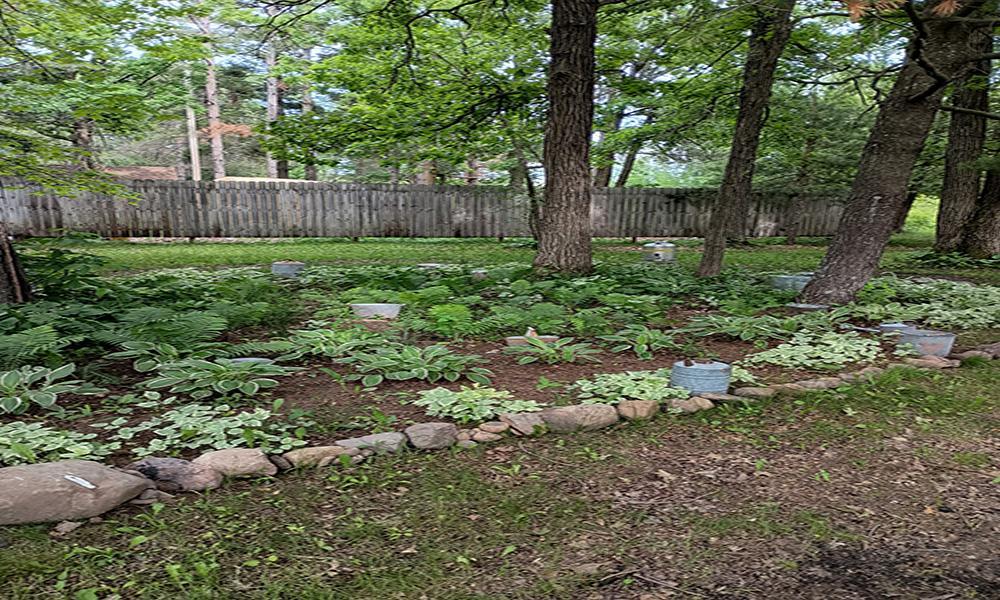 Landscaped garden spaces throughout the yard offer opportunities for gardening and outdoor enjoyment