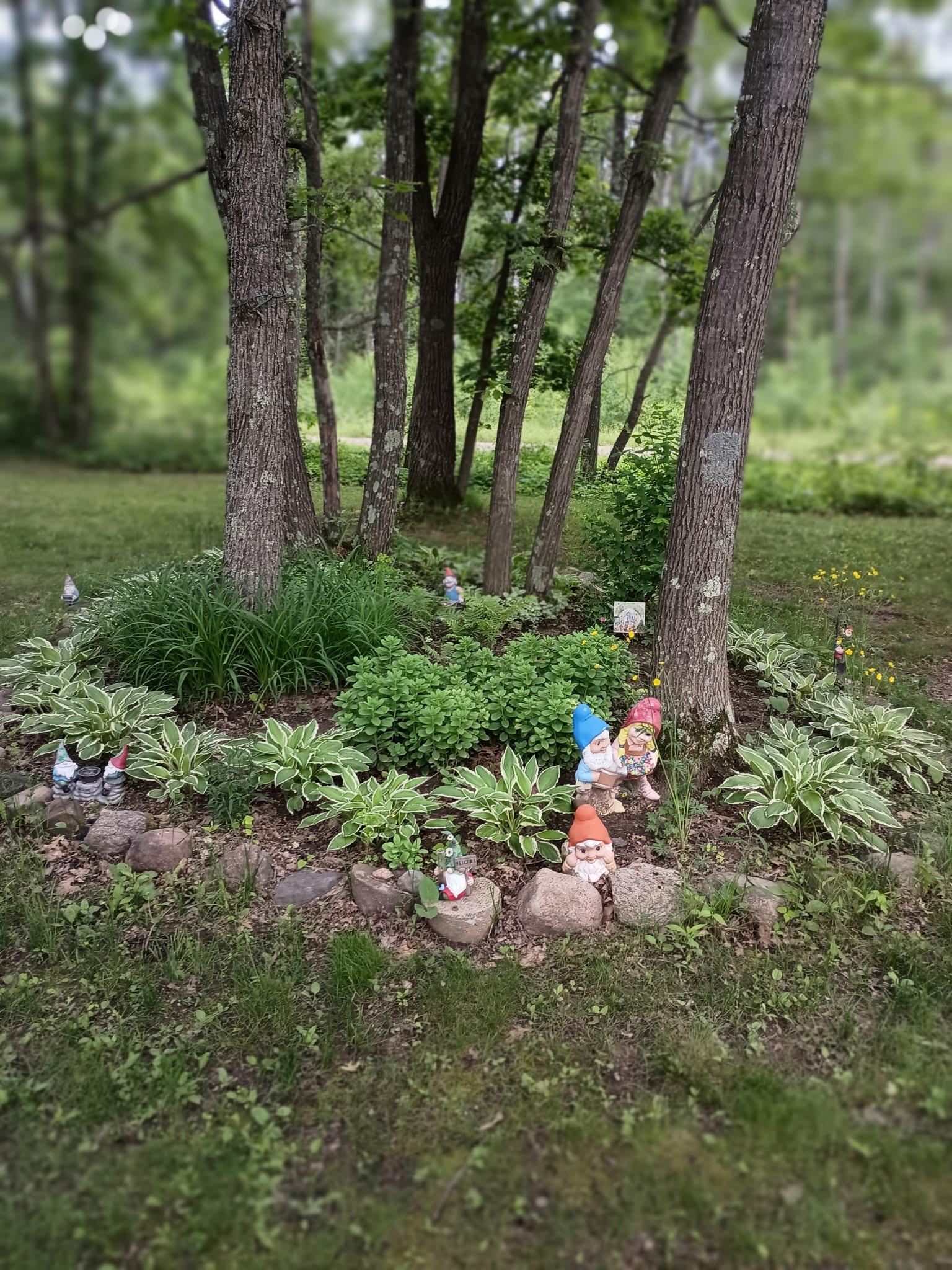 Whimsical garden space surrounded by mature trees creating a peaceful outdoor retreat.”