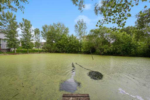 8657 Elk Avenue, Monticello, MN 55362