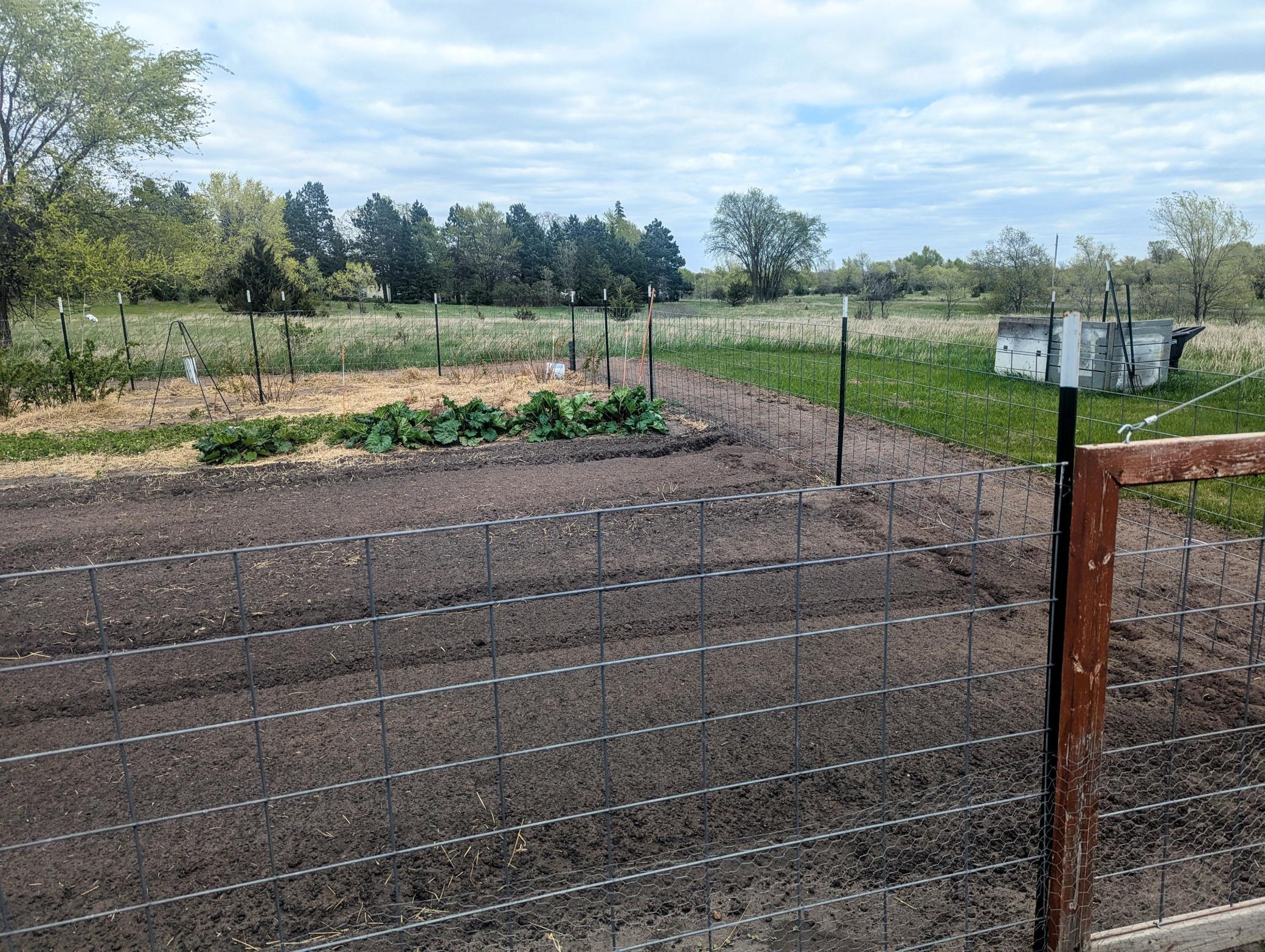 Garden - fenced and ready to grow!