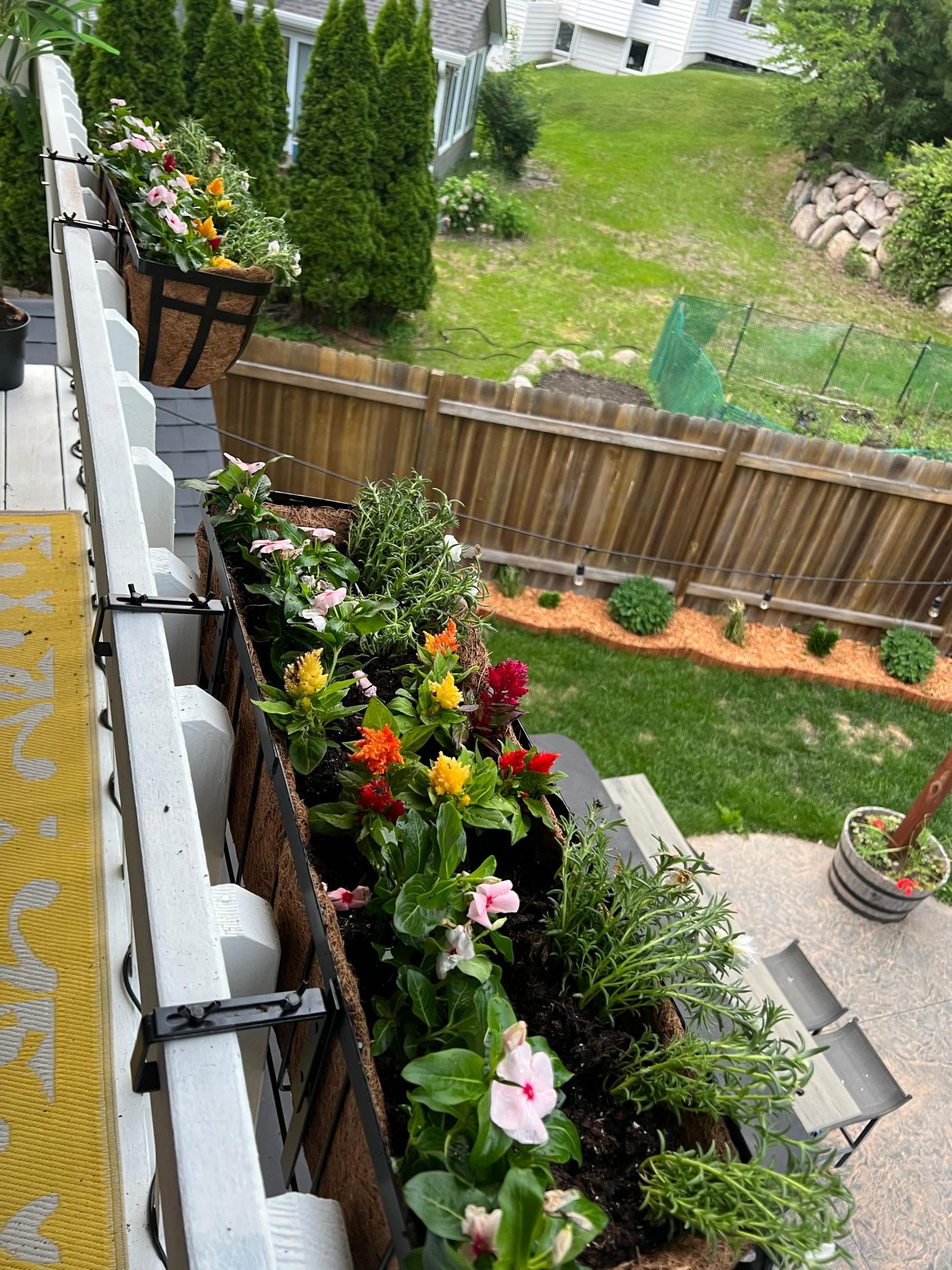 Primary Balcony View