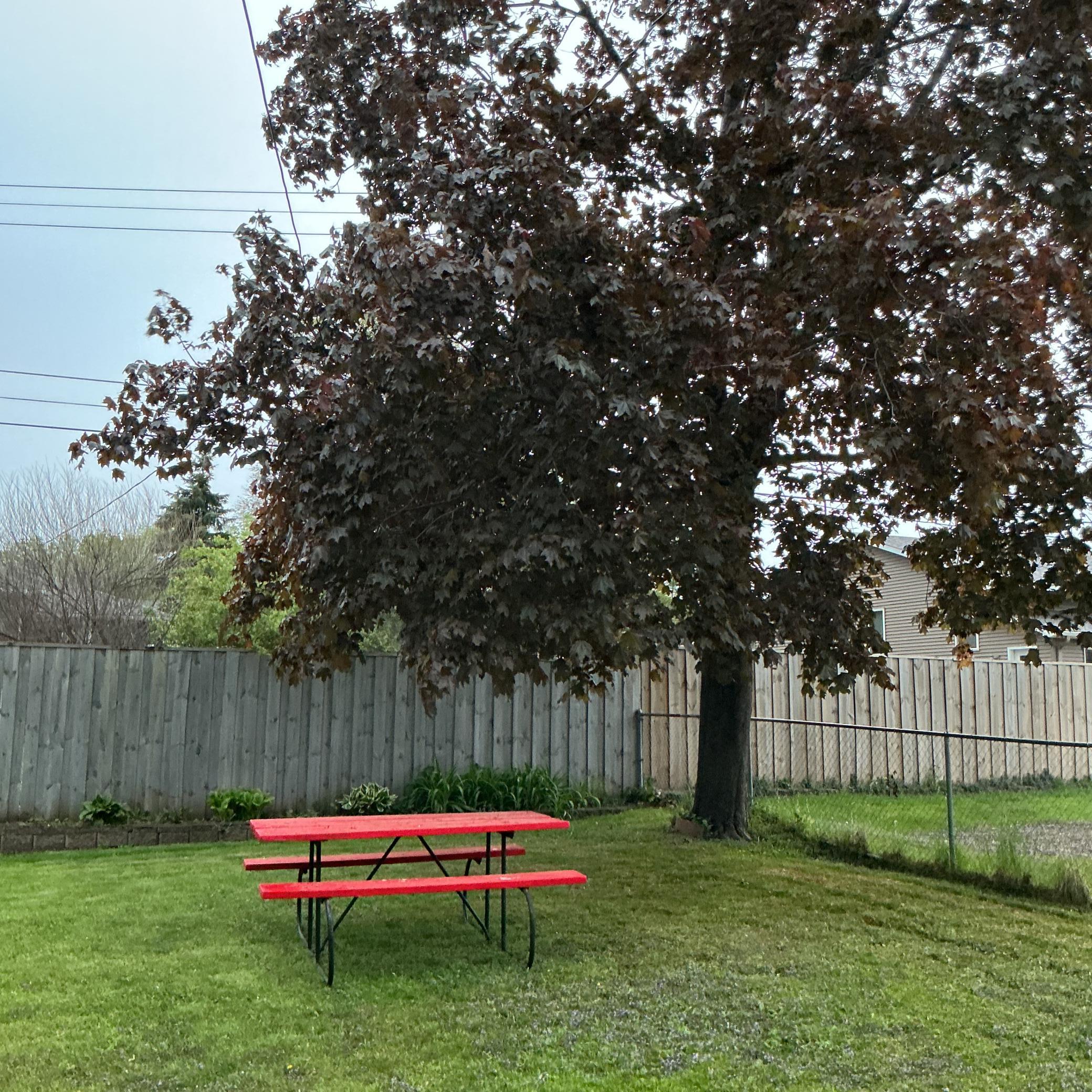 Mature tree helps provide a park like feel.