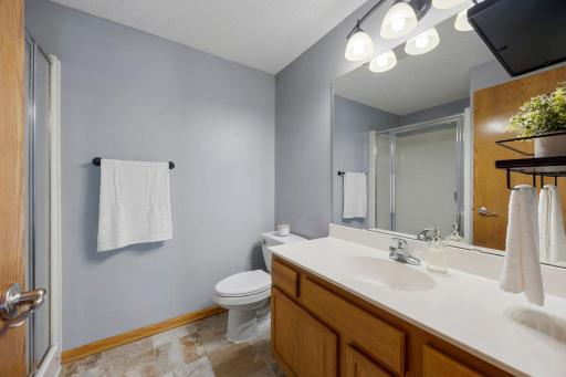 The lower-level 3/4 bathroom features a walk-in shower stall and a single vanity.