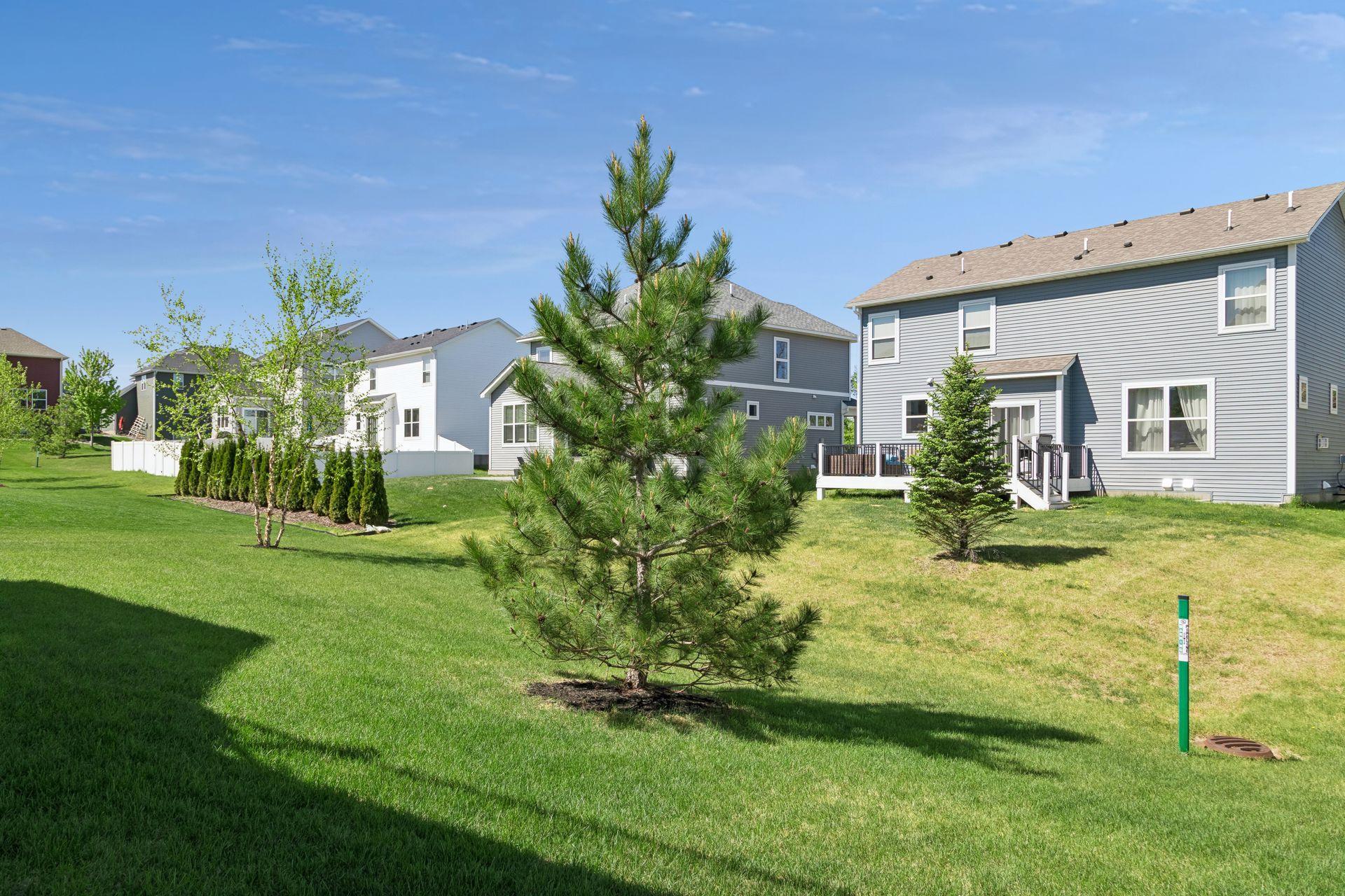 Lovely back yard