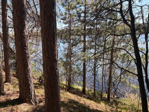 31XXX Nordenstua Lane, Pequot Lakes, MN 56472