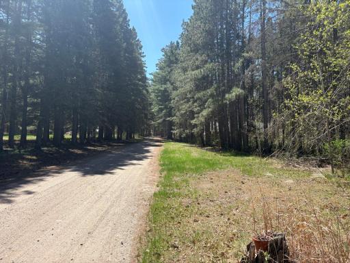 31XXX Nordenstua Lane, Pequot Lakes, MN 56472