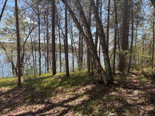 31XXX Nordenstua Lane, Pequot Lakes, MN 56472