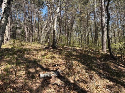 31XXX Nordenstua Lane, Pequot Lakes, MN 56472