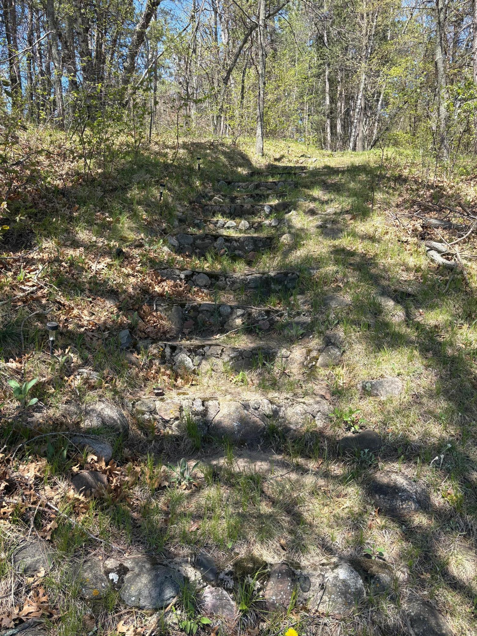 Stairs up from the lake