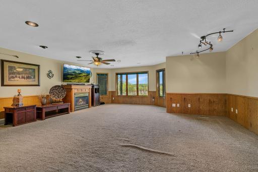Lower level family room with beautiful views of the outdoors