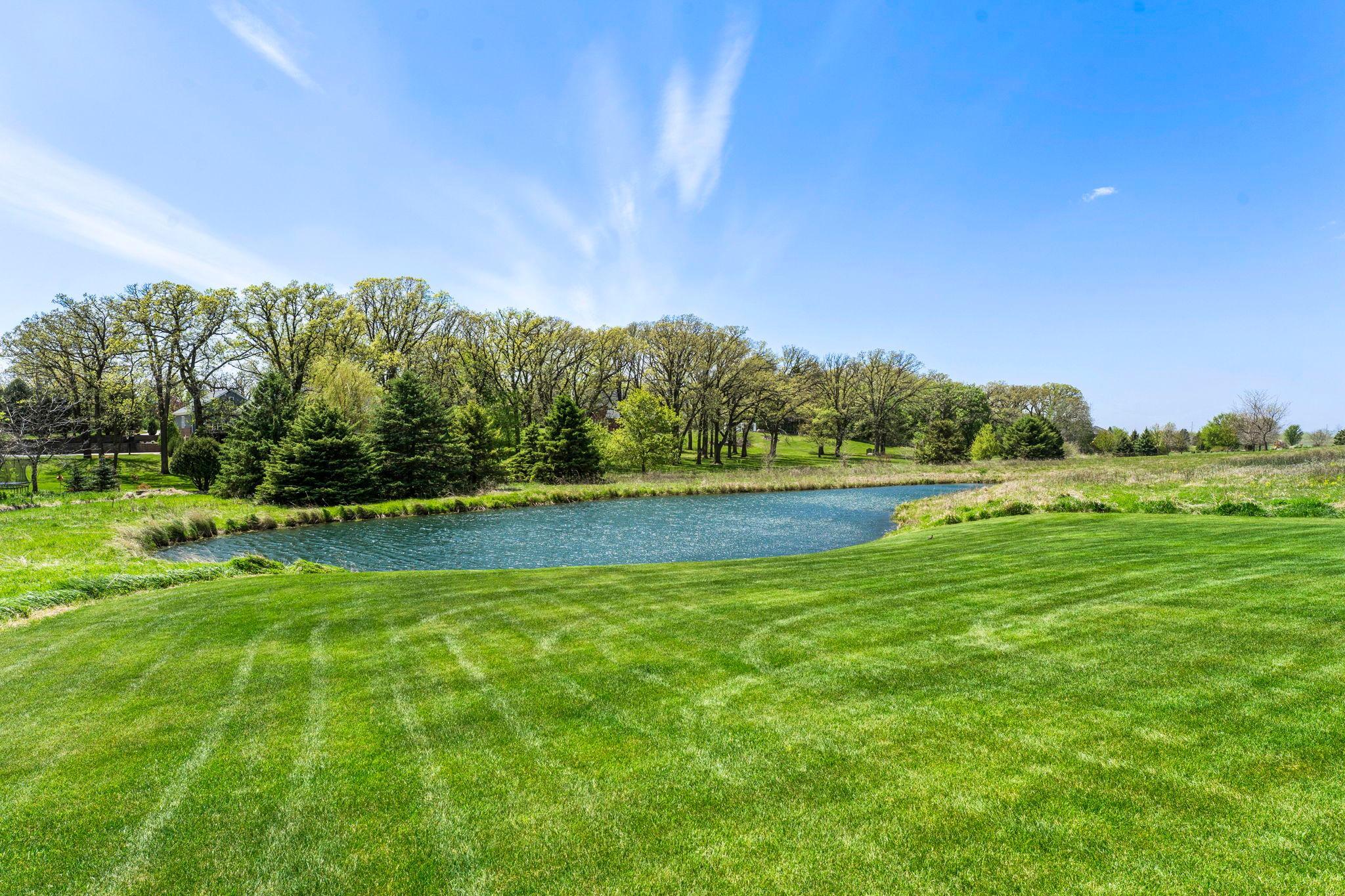 A wooded backdrop provides natural privacy beyond the pond.