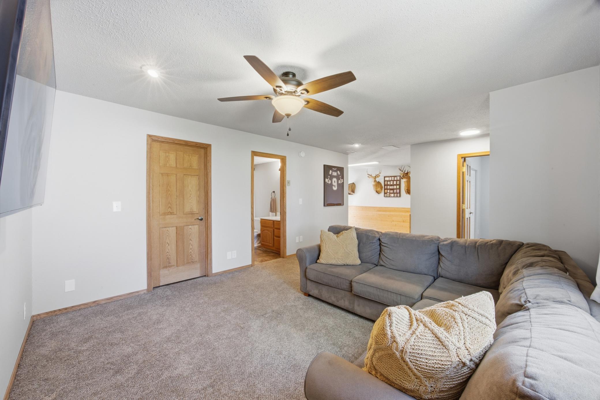 Downstairs Family Room