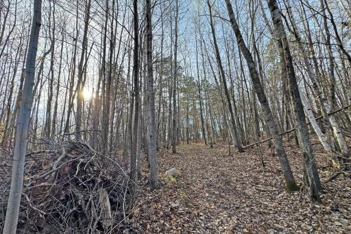 0000 Smoky Hills Trail, Osage, MN 56570
