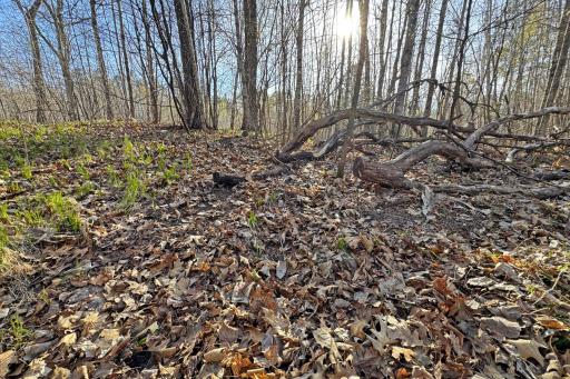 0000 Smoky Hills Trail, Osage, MN 56570