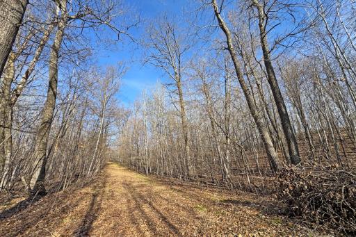 0000 Smoky Hills Trail, Osage, MN 56570
