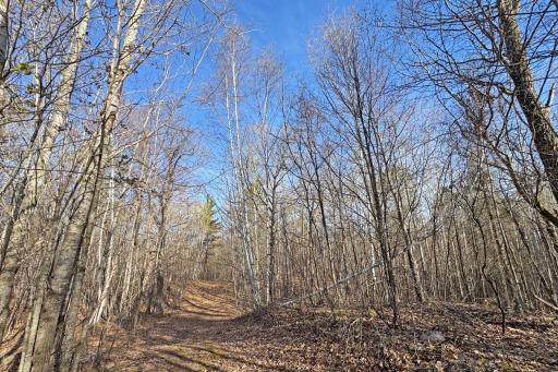 0000 Smoky Hills Trail, Osage, MN 56570