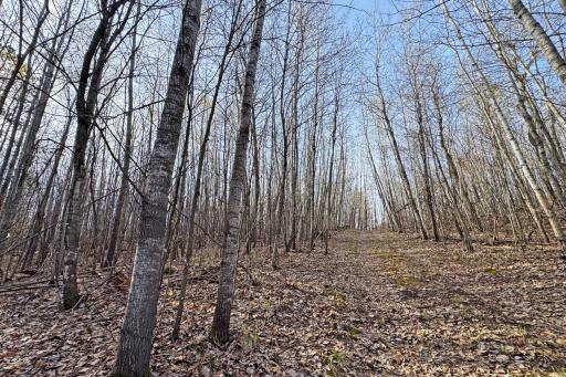 0000 Smoky Hills Trail, Osage, MN 56570
