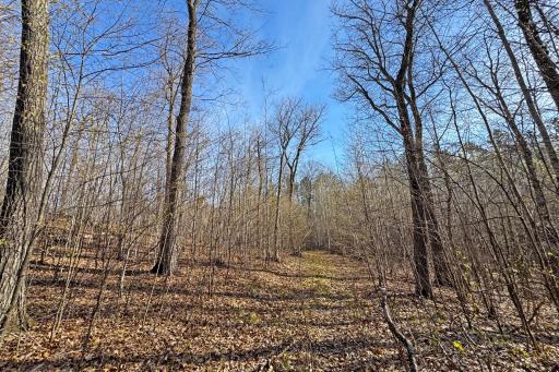 0000 Smoky Hills Trail, Osage, MN 56570