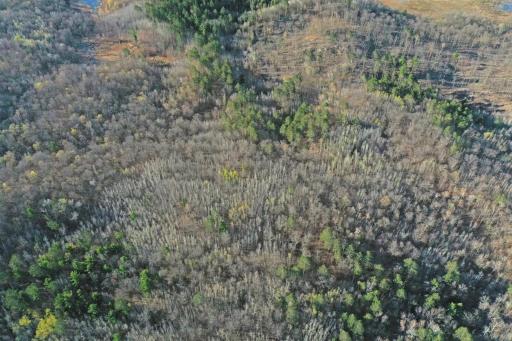 0000 Smoky Hills Trail, Osage, MN 56570