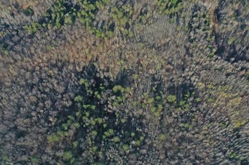 0000 Smoky Hills Trail, Osage, MN 56570