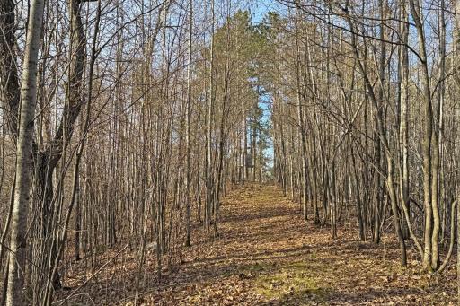 0000 Smoky Hills Trail, Osage, MN 56570