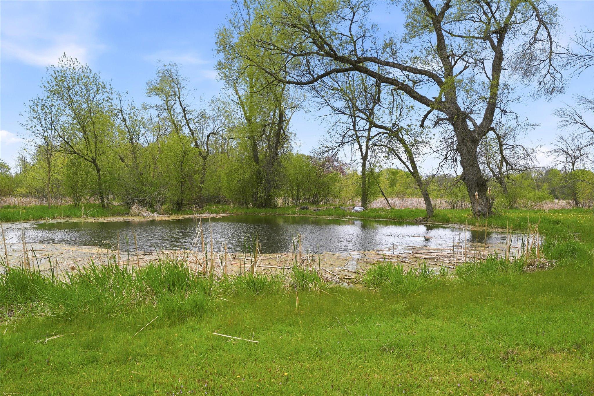 Nature abounds on this property......your own personal pond!