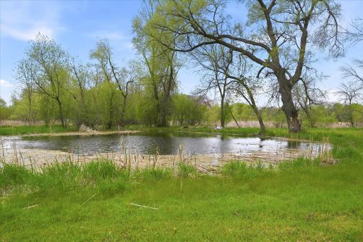 Nature abounds on this property......your own personal pond!