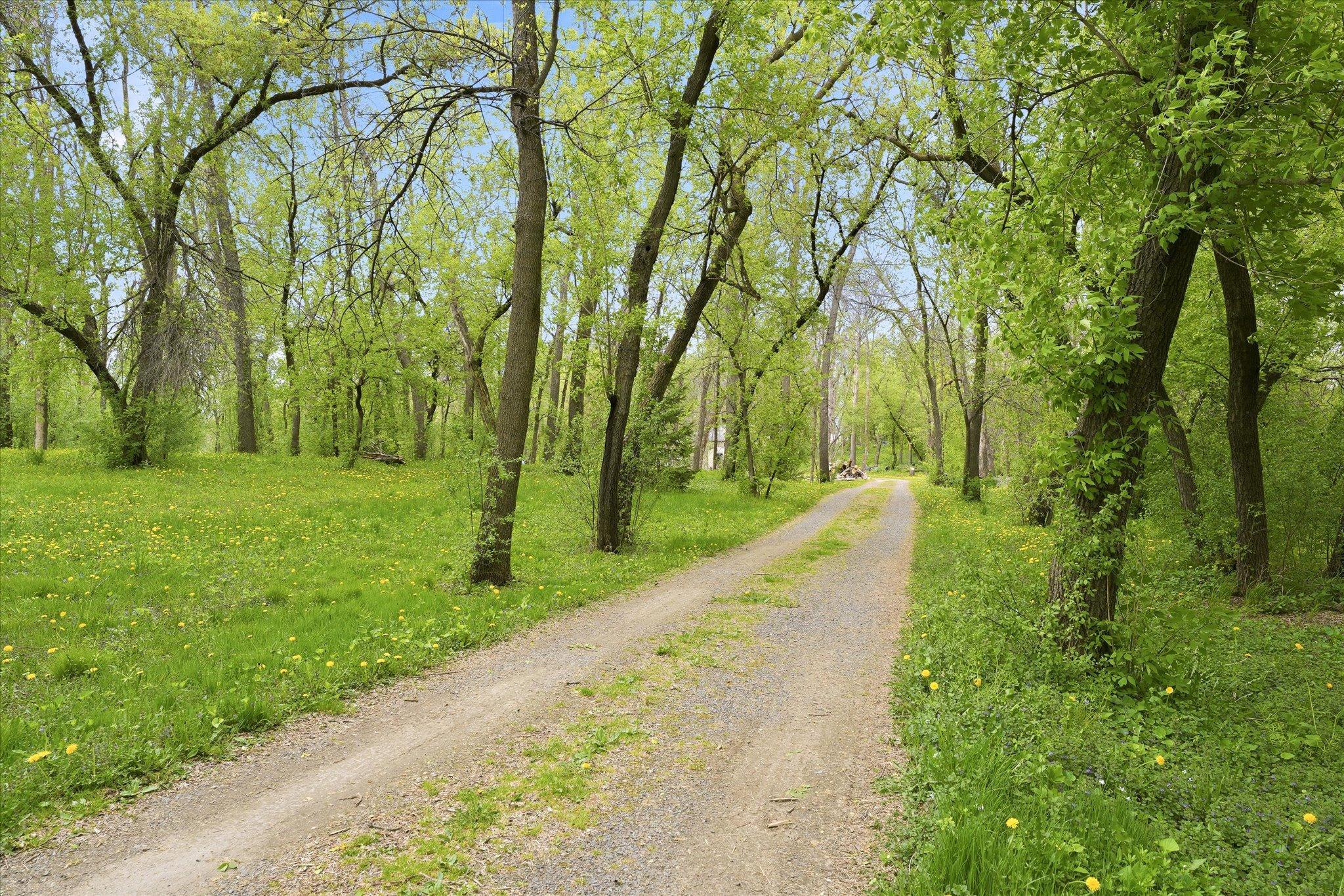 As you enter the property you will enjoy this peaceful and serene driveway which winds back to the home.