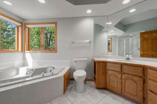 15002 Avocet Street NW, Andover, MN 55304